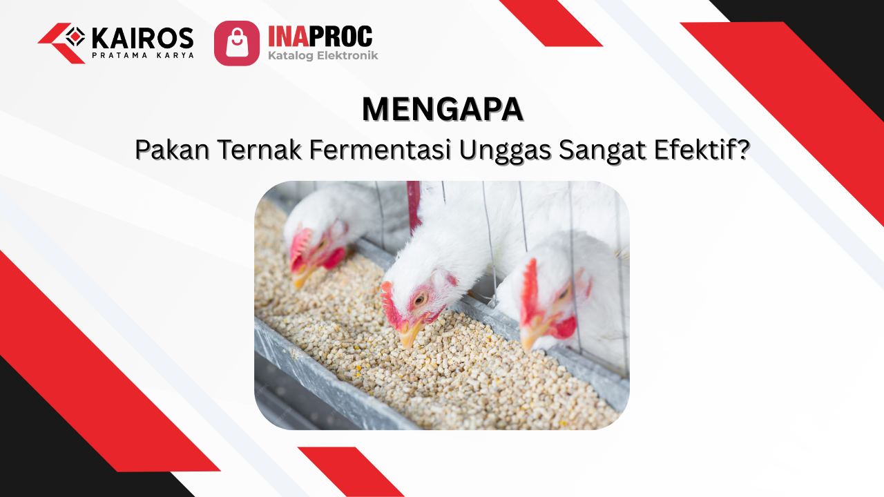 Pakan Ternak Fermentasi Unggas