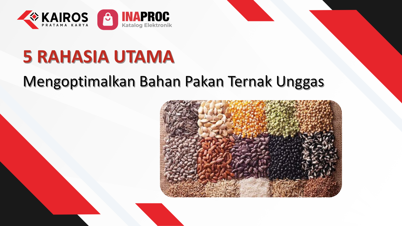 bahan pakan ternak unggas