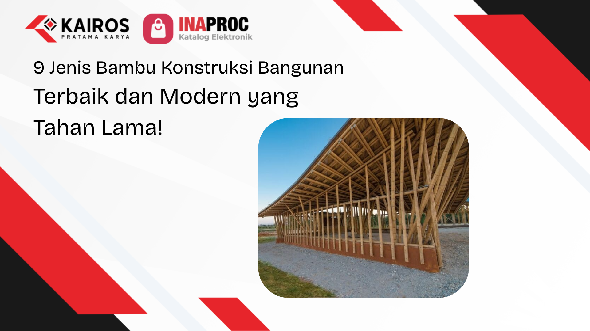 9 Jenis Bambu Konstruksi Bangunan Terbaik dan Modern yang Tahan Lama!