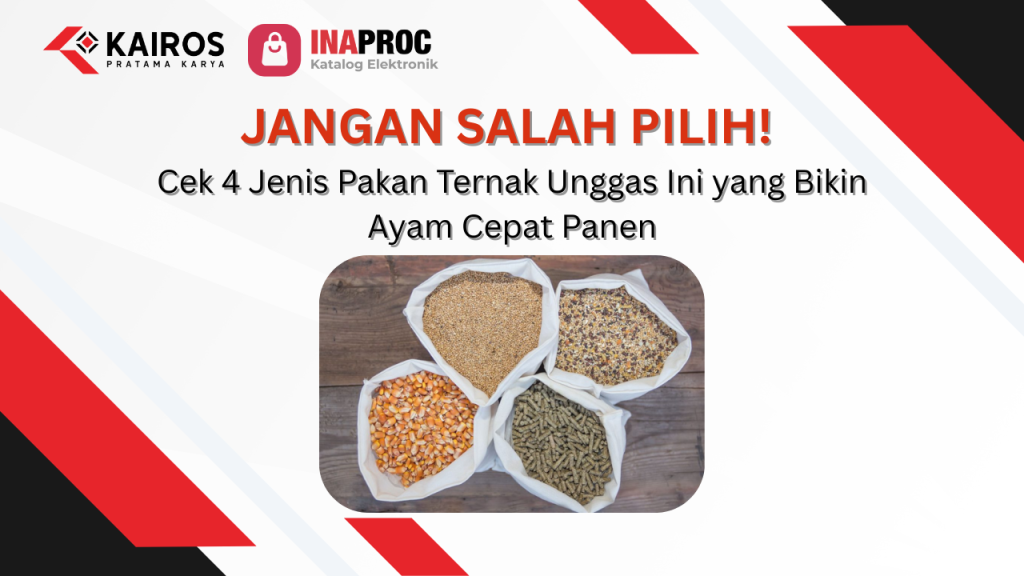 jenis pakan ternak unggas