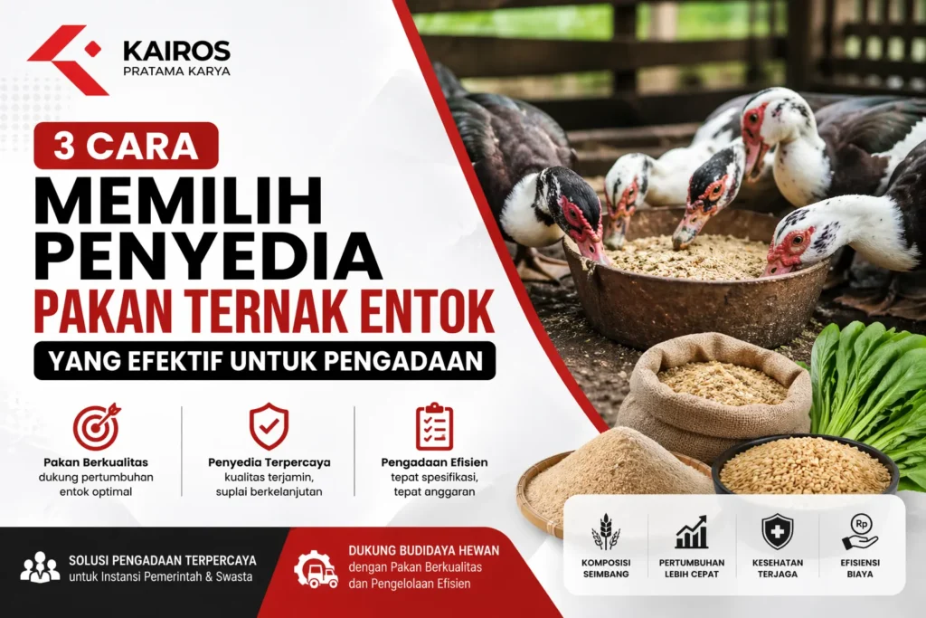 “Ilustrasi pakan ternak entok berkualitas dengan penyedia terpercaya untuk kebutuhan pengadaan dan budidaya hewan”