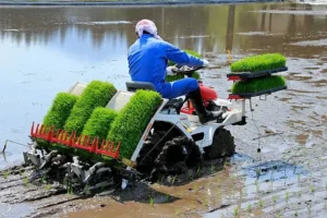 Contoh Alat Pertanian Moderen Rice Transplanter