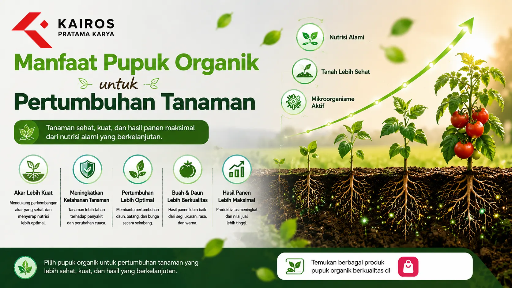 Banner manfaat pupuk organik untuk pertumbuhan tanaman dengan ilustrasi akar sehat, tanaman hijau subur, dan proses pertumbuhan alami.