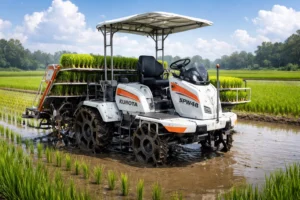 Contoh ilustrasi rice transplater Kutoba