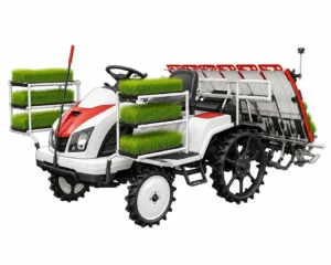 Contoh ilustrasi Rice Transplanter Mahkota