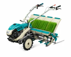 Contoh Gambar Jenis Rice Transplanter Walking Type