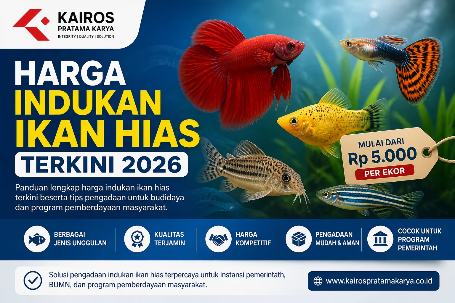 “Daftar harga indukan ikan hias terbaru 2026 untuk budidaya dan pengadaan pemerintah”