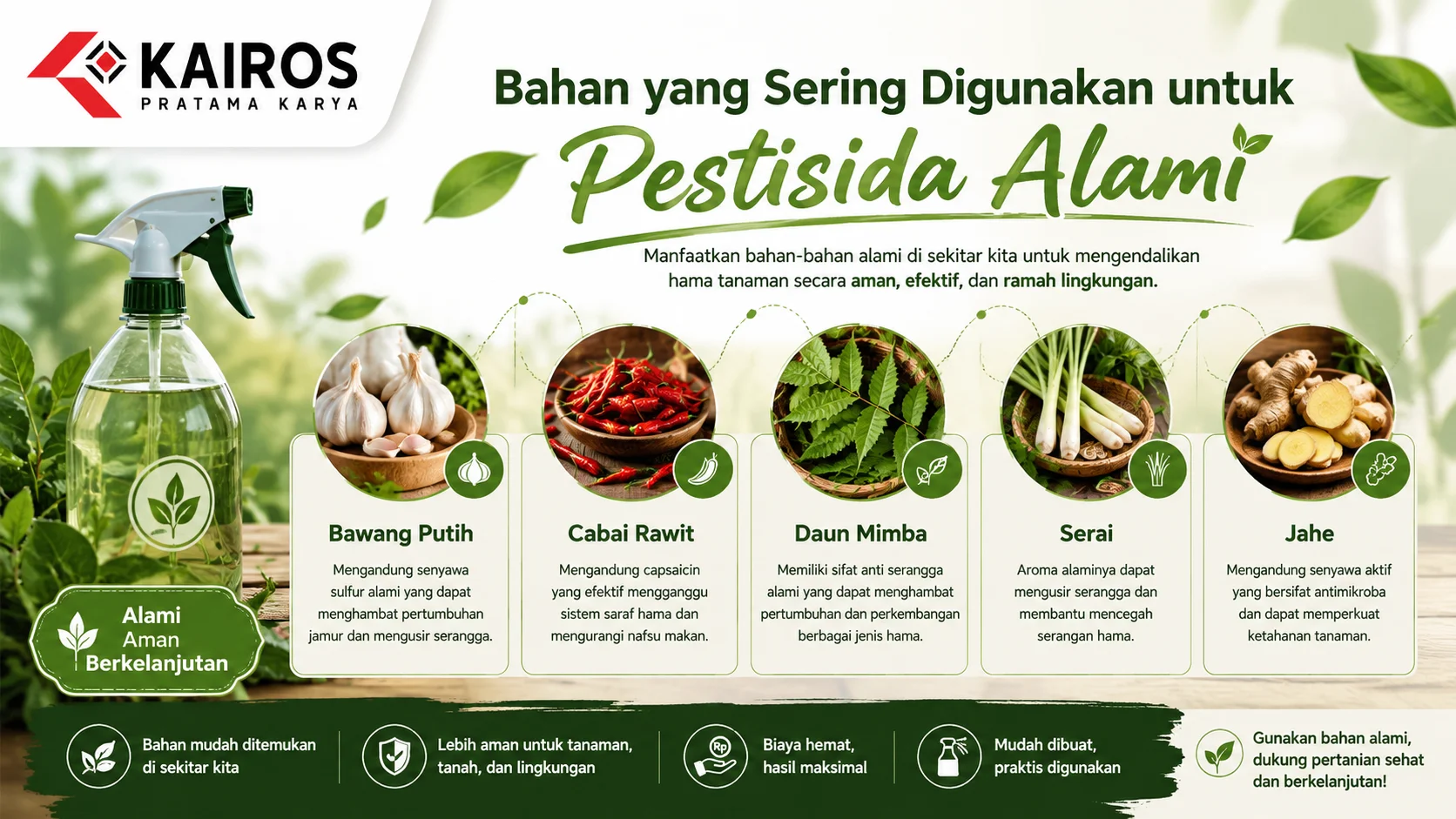 Infografis bahan yang sering digunakan untuk pestisida alami, menampilkan bawang putih, cabai rawit, daun mimba, serai, dan jahe sebagai bahan pengendali hama ramah lingkungan.