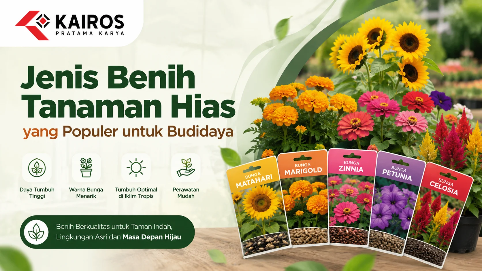 Jenis benih tanaman hias populer seperti bunga matahari, marigold, zinnia, petunia, dan celosia untuk budidaya.