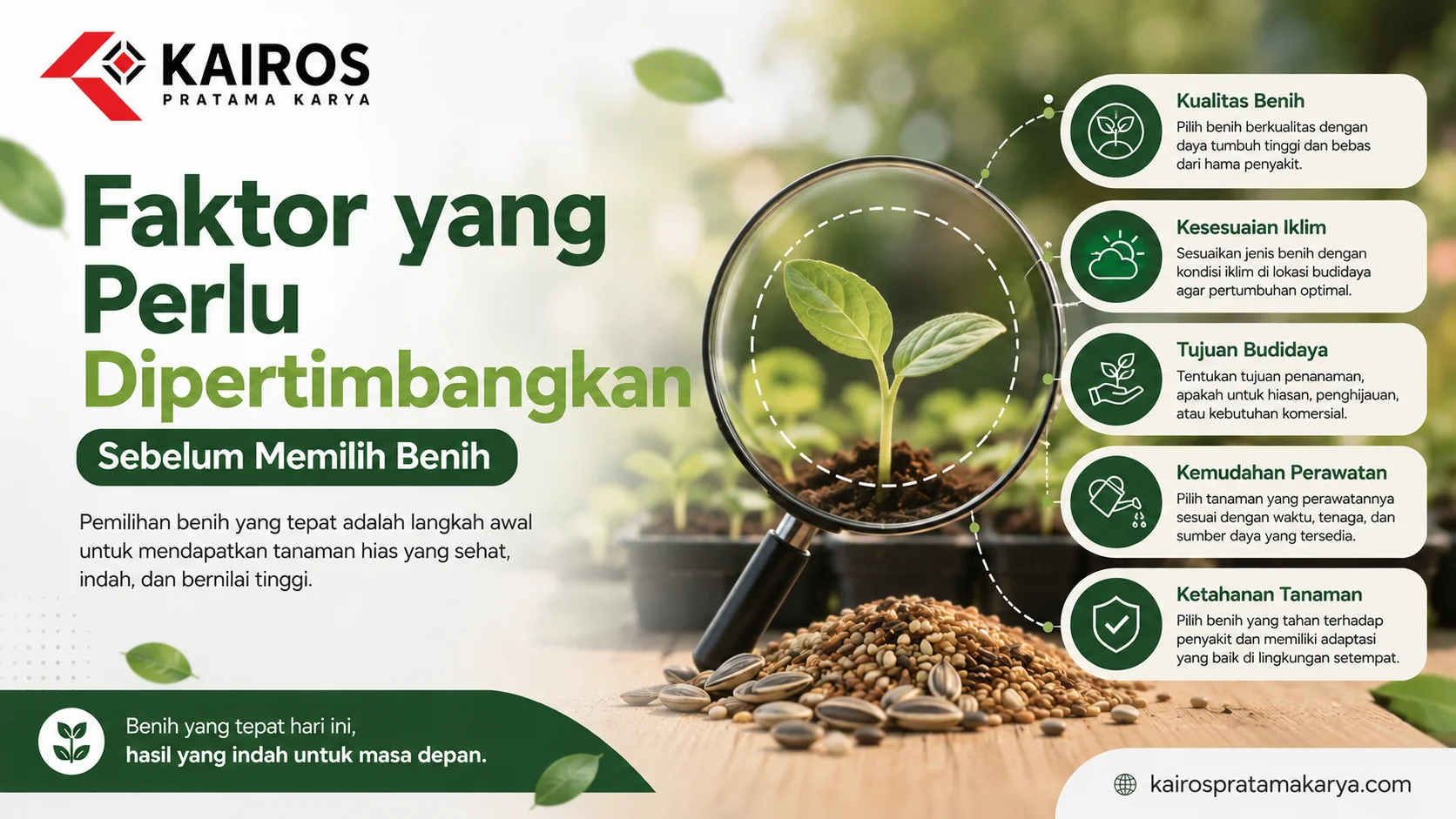 Ilustrasi faktor penting dalam memilih benih tanaman hias berkualitas untuk mendukung keberhasilan budidaya.