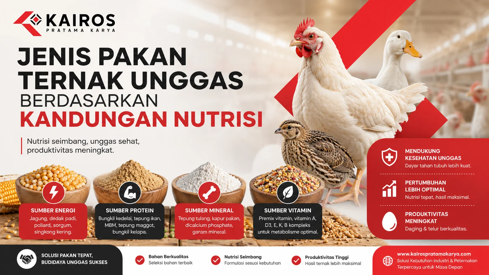 Ilustrasi berbagai jenis pakan ternak unggas berdasarkan kandungan nutrisi, menampilkan sumber energi, protein, vitamin, dan mineral untuk mendukung pertumbuhan serta produktivitas unggas.