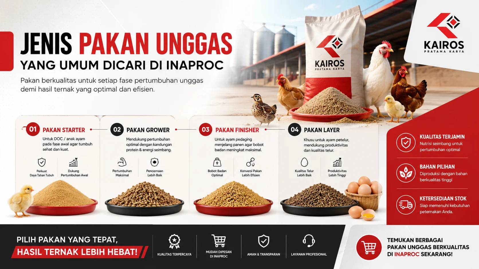 Infografis jenis pakan unggas yang umum digunakan dalam peternakan, menampilkan pakan starter, grower, finisher, dan layer untuk mendukung pertumbuhan serta produktivitas unggas.
