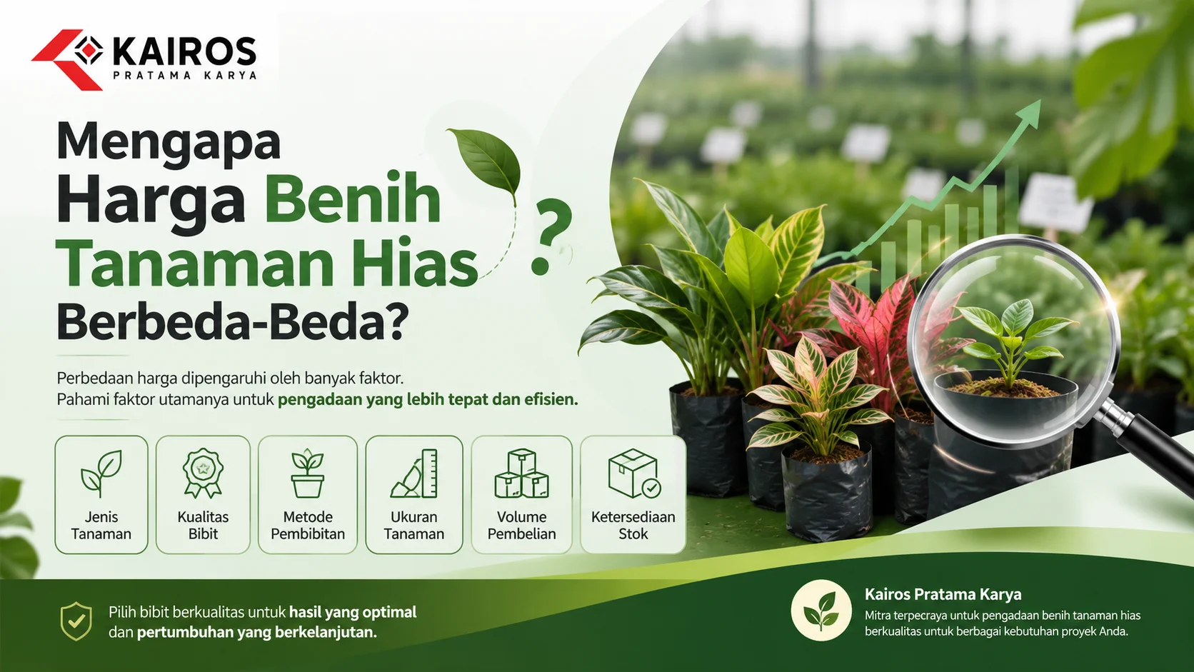 Ilustrasi berbagai bibit tanaman hias dengan visual faktor yang memengaruhi perbedaan harga berdasarkan jenis, kualitas, ukuran, dan metode pembibitan.