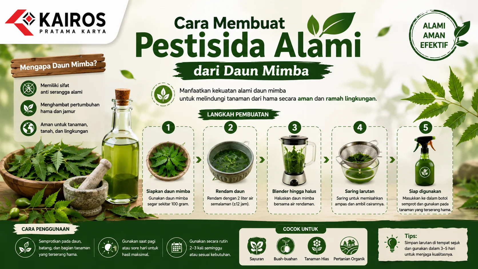 Infografis cara membuat pestisida alami dari daun mimba yang menampilkan tahapan pembuatan, manfaat daun mimba, serta cara penggunaan untuk mengendalikan hama tanaman secara alami.