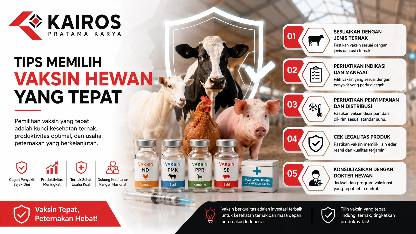 Infografis tips memilih vaksin hewan yang tepat dengan ilustrasi sapi, kambing, ayam, babi, serta vaksin ternak untuk mendukung kesehatan dan produktivitas peternakan.